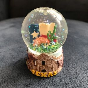 Mini Texas snowglobe